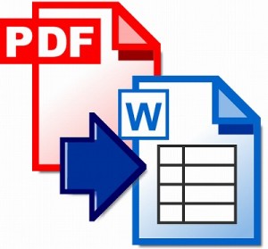 PDF WORD 変換